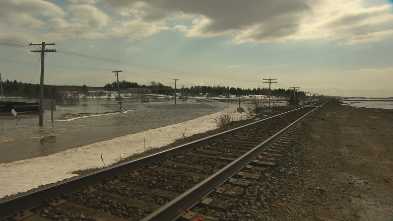 Bay of Fundy dikes need to be repaired, says Sackville mayor