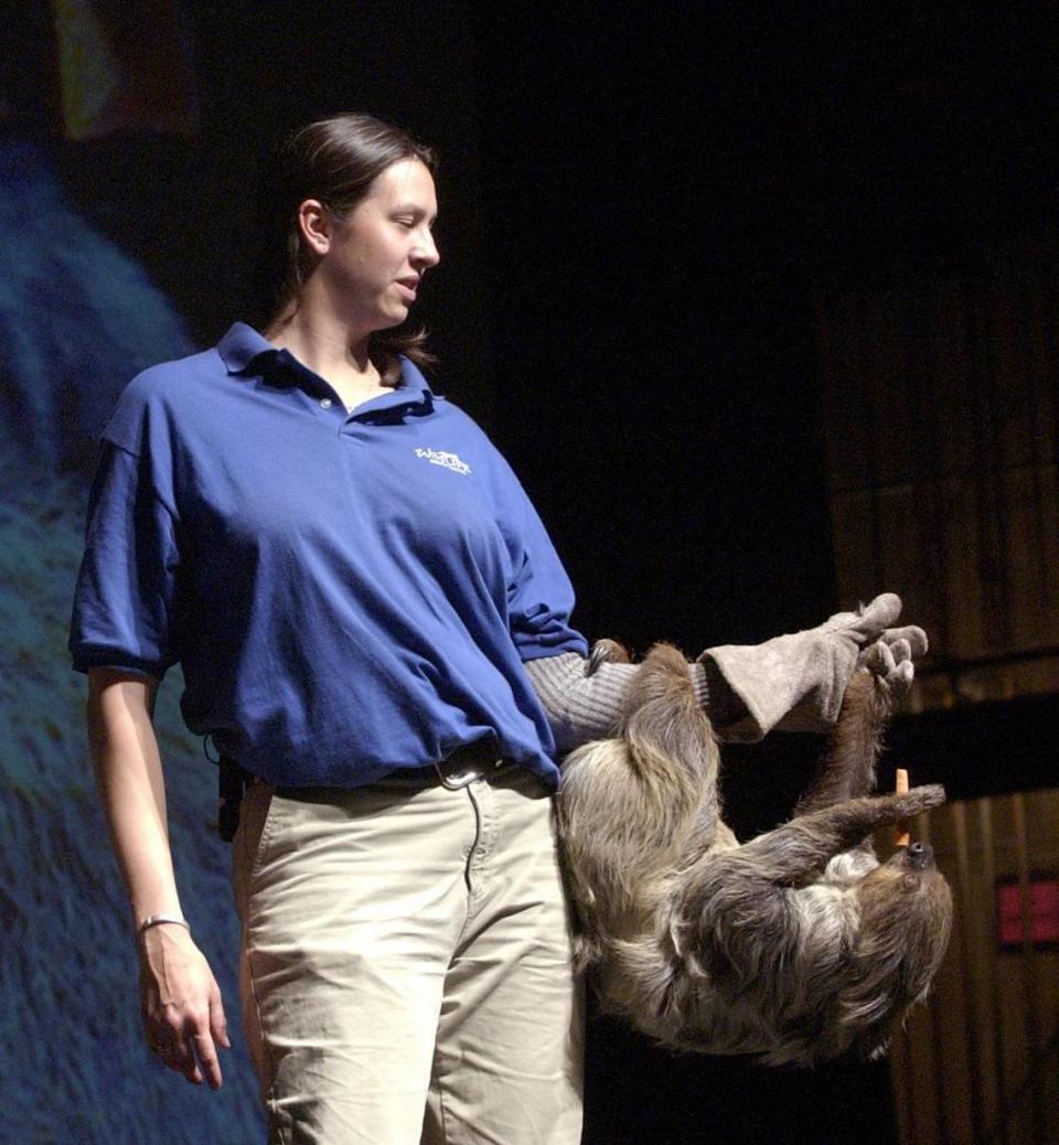 Back in 2002, wildlife educator Jen Cox of Wildlife Associates holds a Central American two-toed sloth during a Modesto Area Partners in Science program called “Live and Unusual Animals,” presented to a crowd of about 850 people in the Modesto Junior College auditorium.