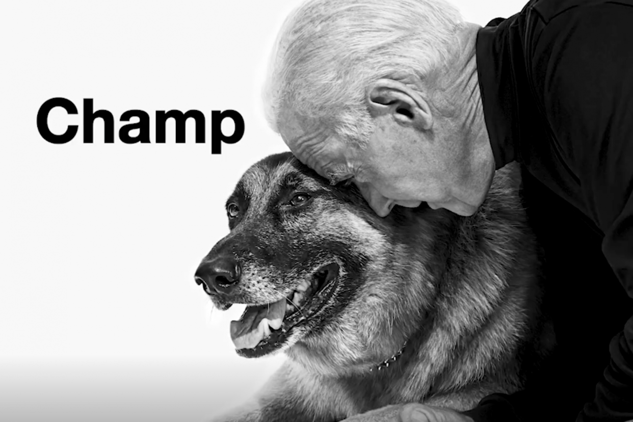 Screengrab of Dog Lovers For Joe Biden video taken on 07/10/2020: JoeBidenDog0710
