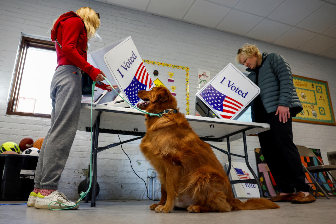 Billy, a dog, sits at a voting site.