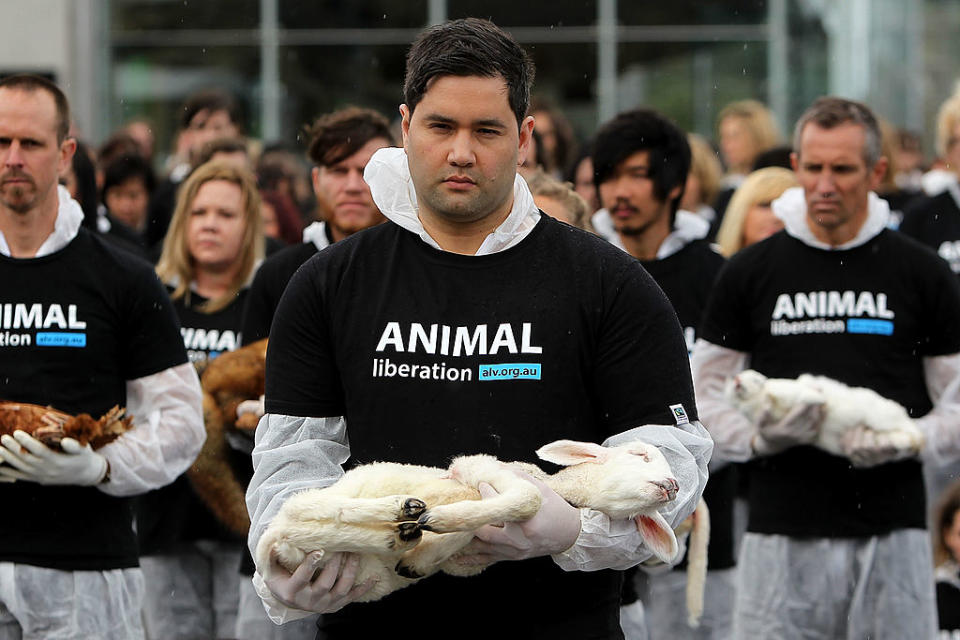 Animal Liberation Victoria activists in Melbourne in 2013. Source: Getty