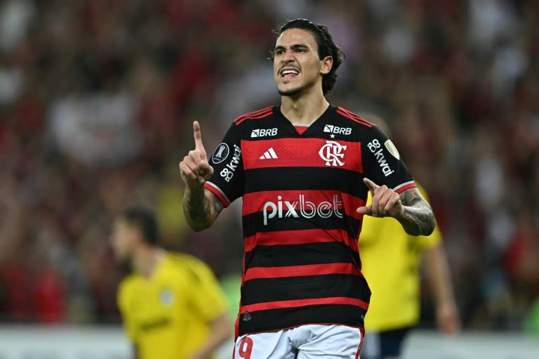 El delantero brasileño del Flamengo Pedro celebra tras marcar durante el partido de fútbol de la fase de grupos de la Copa Libertadores contra Millonarios de Colombia, en el estadio Maracaná de Rio de Janeiro, en Brasil, el 28 de mayo de 2024. (MAURO PIMENTEL)