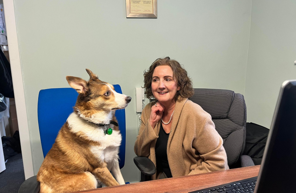 Janet Finch-Saunders, Conservative MS for Aberconwy and her Welsh Collie, Alfie