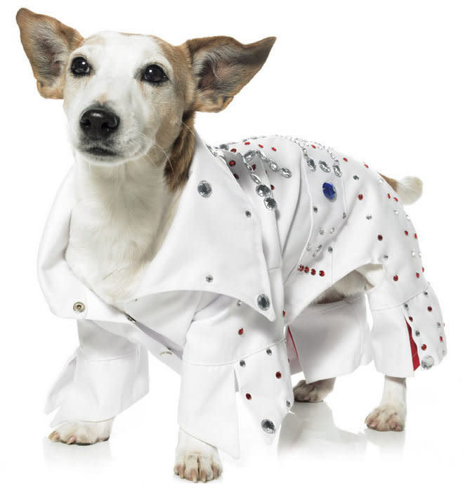 We can't help but feel this costume would be better on a hound dog. 