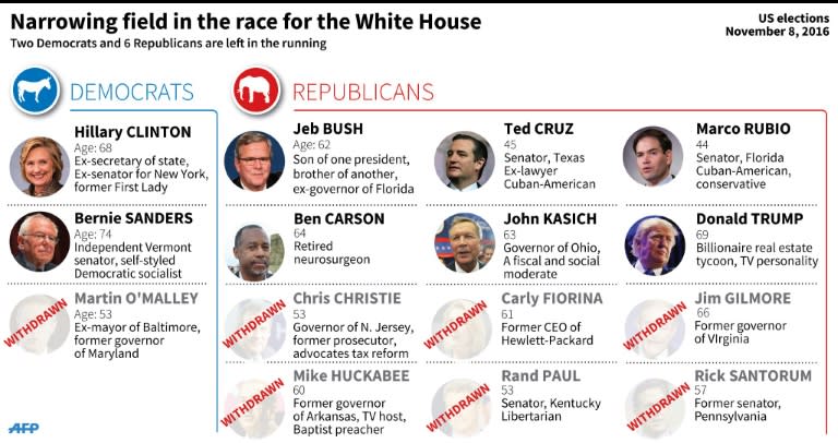 Graphic showing Democrat and Republican candidates in the race for the White House