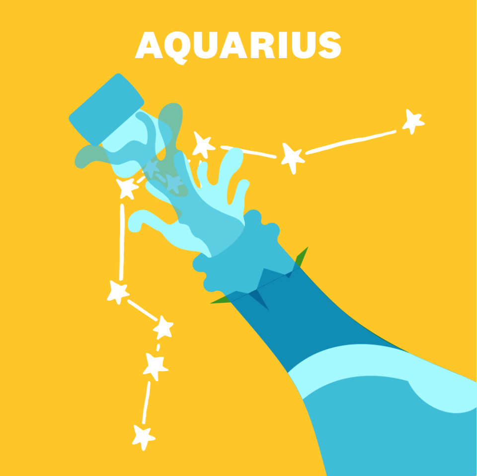 11) AQUARIUS (JANUARY 20–FEBRUARY 18)