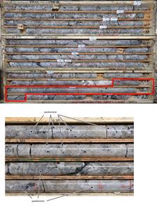 Spodumene mineralization in drill hole CV22-100. Red box is approximately 1.4 m spodumene crystal.  Gangue minerals include a mix of mica and tourmaline (black flecks) and quartz (smokey-brown)