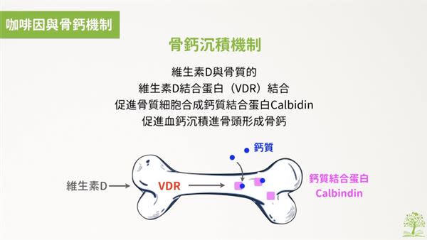 （圖片／林世航營養師提供）