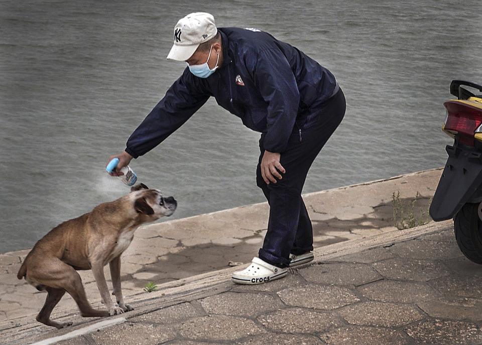 Daily Life In Wuhan After Months-Long Lockdown