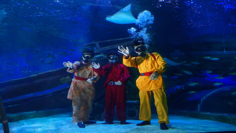 Catch sight of the flying rays, sand tiger sharks, and green sea turtles during the feeding sessions at the Aquatheatre. — Picture courtesy of Aquaria KLCC