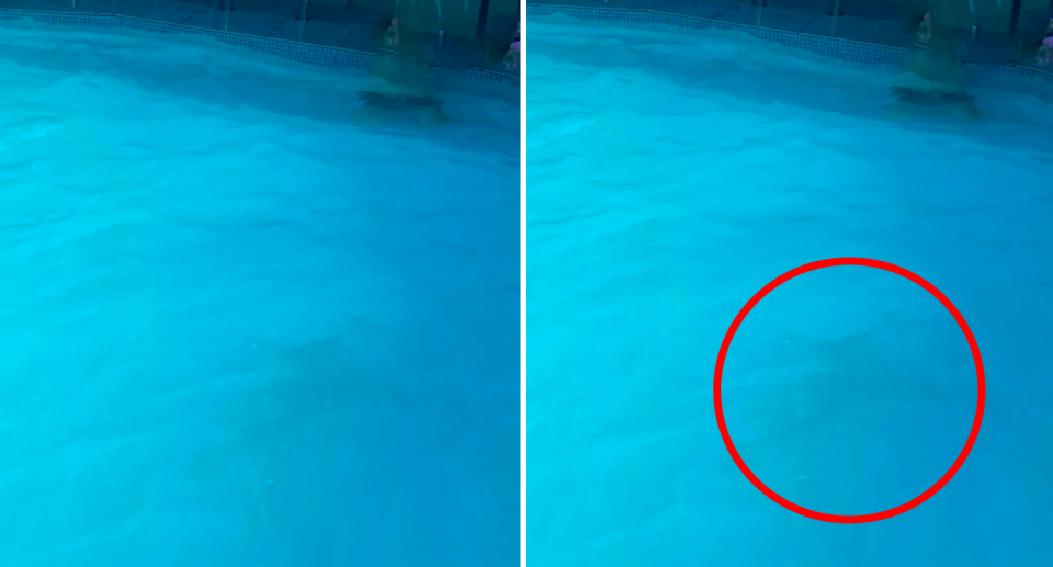 Child disappears while swimming in pool. Source: CPR Kids