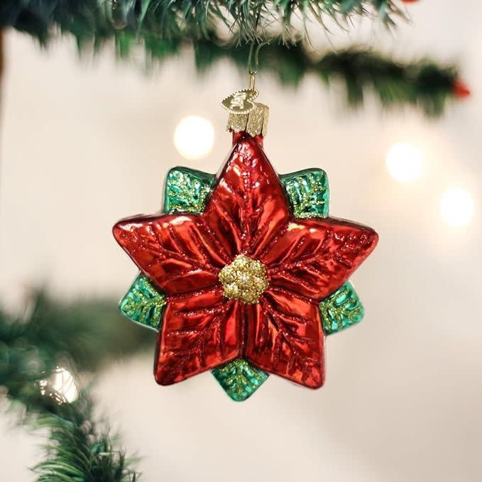 <p><a href="https://www.amazon.com/Old-World-Christmas-Ornaments-Poinsettia/dp/B0070GXXGK?th=1&tag=syn-yahoo-20&ascsubtag=%5Bartid%7C2164.g.42097305%5Bsrc%7Cyahoo-us" rel="nofollow noopener" target="_blank" data-ylk="slk:Shop Now;elm:context_link;itc:0;sec:content-canvas" class="link ">Shop Now</a></p><p>Poinsettia Star Ornament</p><p>$16.19</p><span class="copyright">Amazon</span>