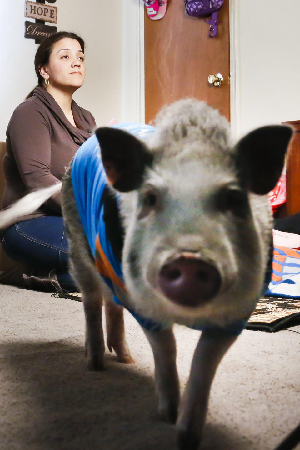 Danielle Forgione and Petey, the family's pet pig, during an interview, on Thursday, March 21, 2013, in the Queens borough of New York. Forgione is scrambling to sell her second-floor apartment after a neighbor complained about 1-year-old Petey the pig to the co-op board. In November and December she was issued city animal violations and in January was told by both the city and her management office that she needed to get rid of the pig. (AP Photo/Bebeto Matthews)