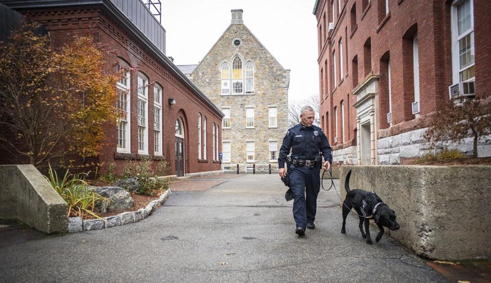 In this Nov. 29, 2016 photo, Bella, a Worcester Polytechnic Institute police department explosives detection dog is walked on campus by handler officer Brian Lavelle in Worcester, Mass. The International Association of Campus Law Enforcement Administrators says there has been an increase in the use of these dogs at colleges over the past year with bombings occurring more frequently worldwide. (Steven King/Worcester Polytechnic Institute via AP)