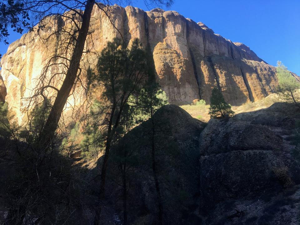 colorful cliff rising above shaded canyon