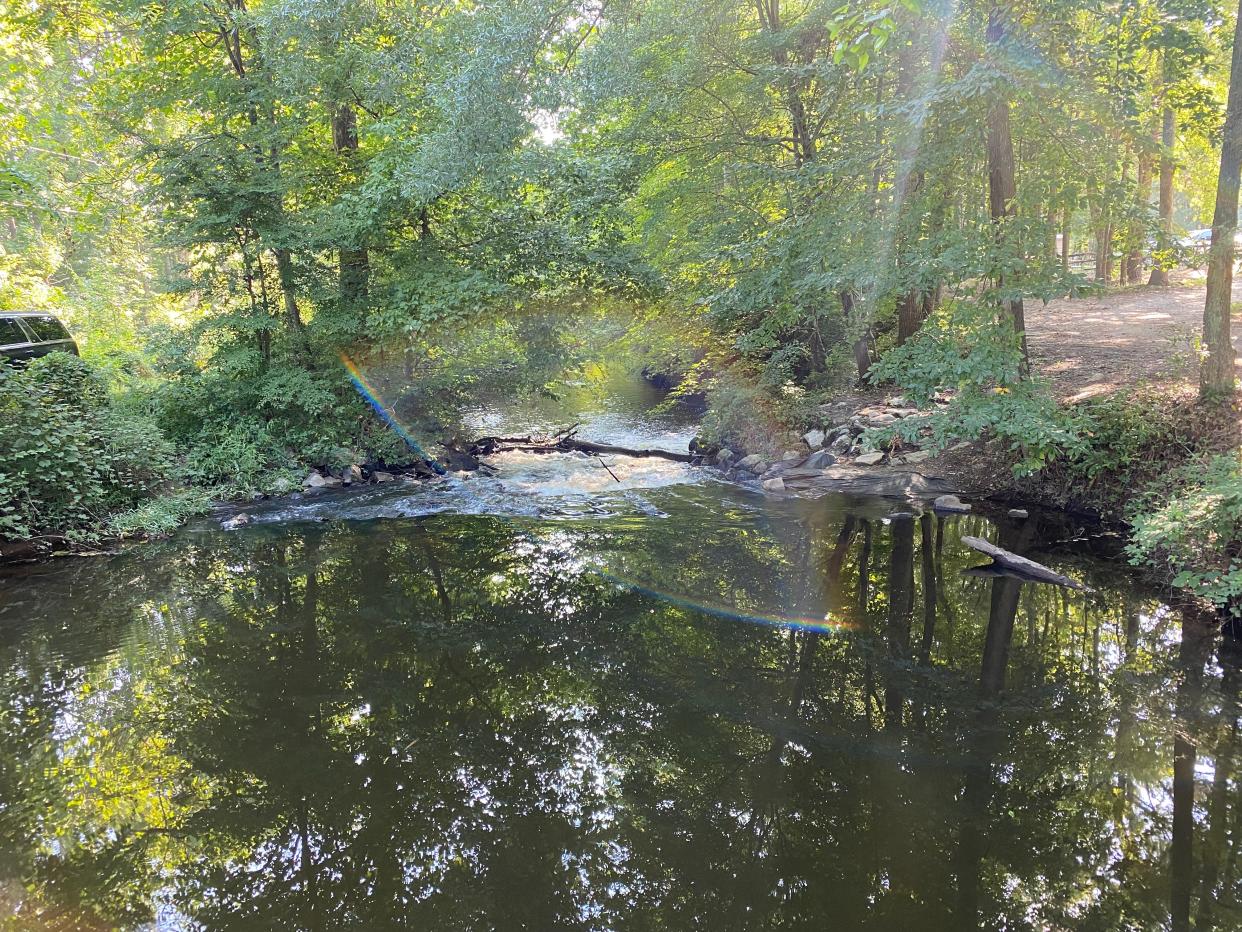 This photo shows a western section of the 18th-century canal near Ferndale Appomattox Riverside Park in Dinwiddie County. The canal is expected to be an integral part of the western end of the 25-mile Appomattox River Trail system that will connect all of the Tri-City area through a network of hiking and biking trails.