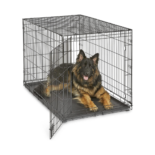 Midwest Homes wire dog crate with dog inside