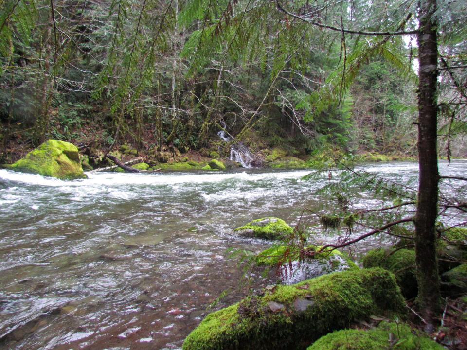 The South Fork McKenzie River would gain protection under the River Democracy Act.