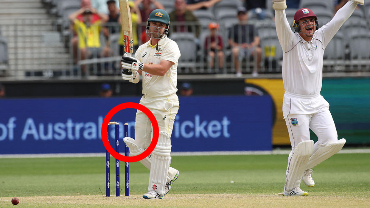 Travis Head was bowled for 99 against the West Indies, the first Aussie batsman stranded one run short of a century since 2014. (Photo by COLIN MURTY/AFP via Getty Images)