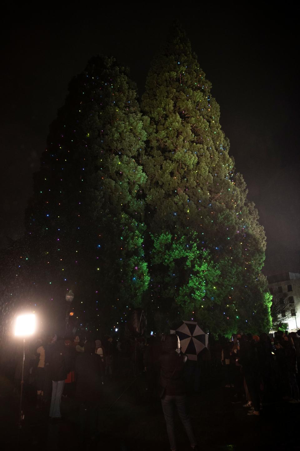 People look as the lights on the Star Trees were turned on during the 2021 Star Tree lighting at Willamette University.