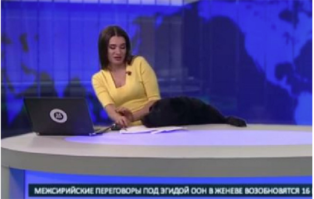 A dog interrupted a live TV broadcast on Russian TV. Photo: YouTube