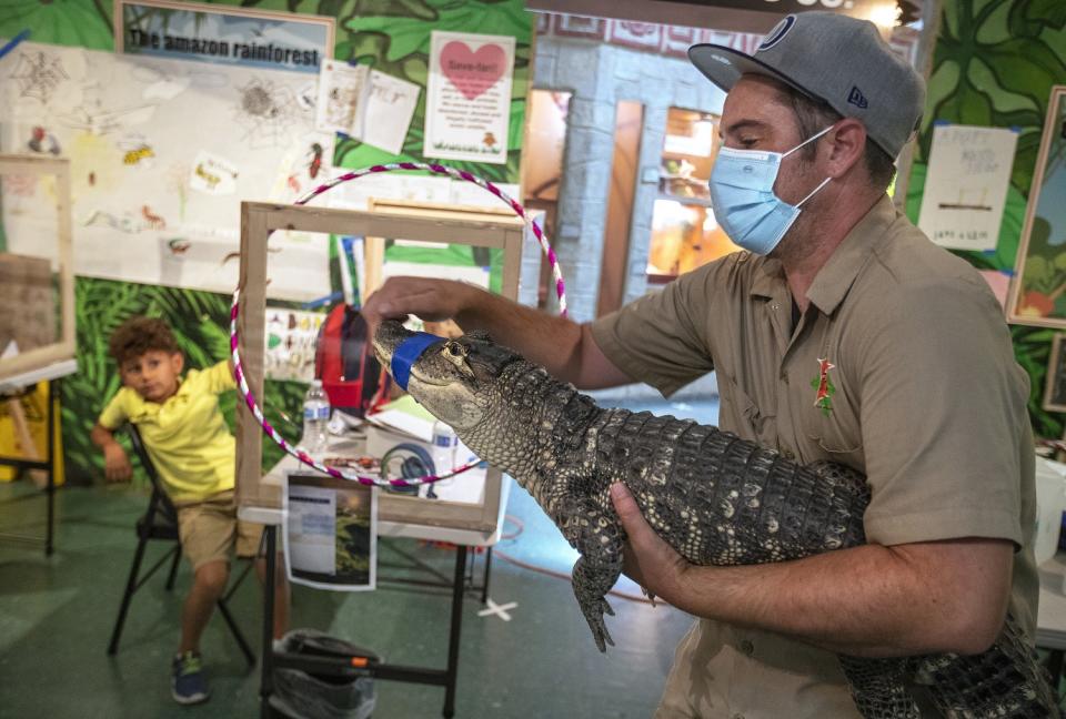 Danny Osborne of Eco Station holds Sketch, an American alligator, while teaching about wildlife. At left is Jameson Miniex.