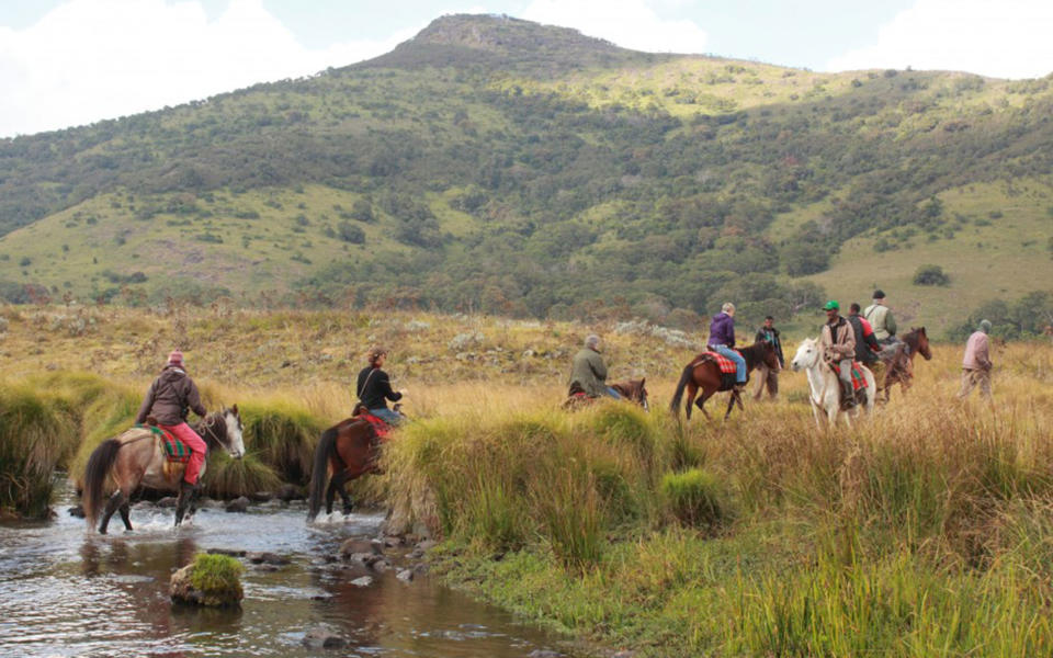 Bale Mountain Lodge, Bale Mountain National Park, Ethiopia