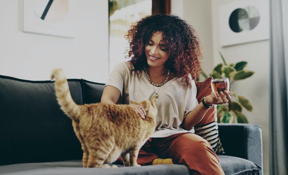 woman on couch petting cat