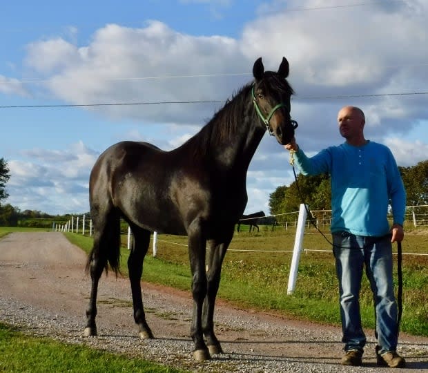 Woodmere Standardbreds