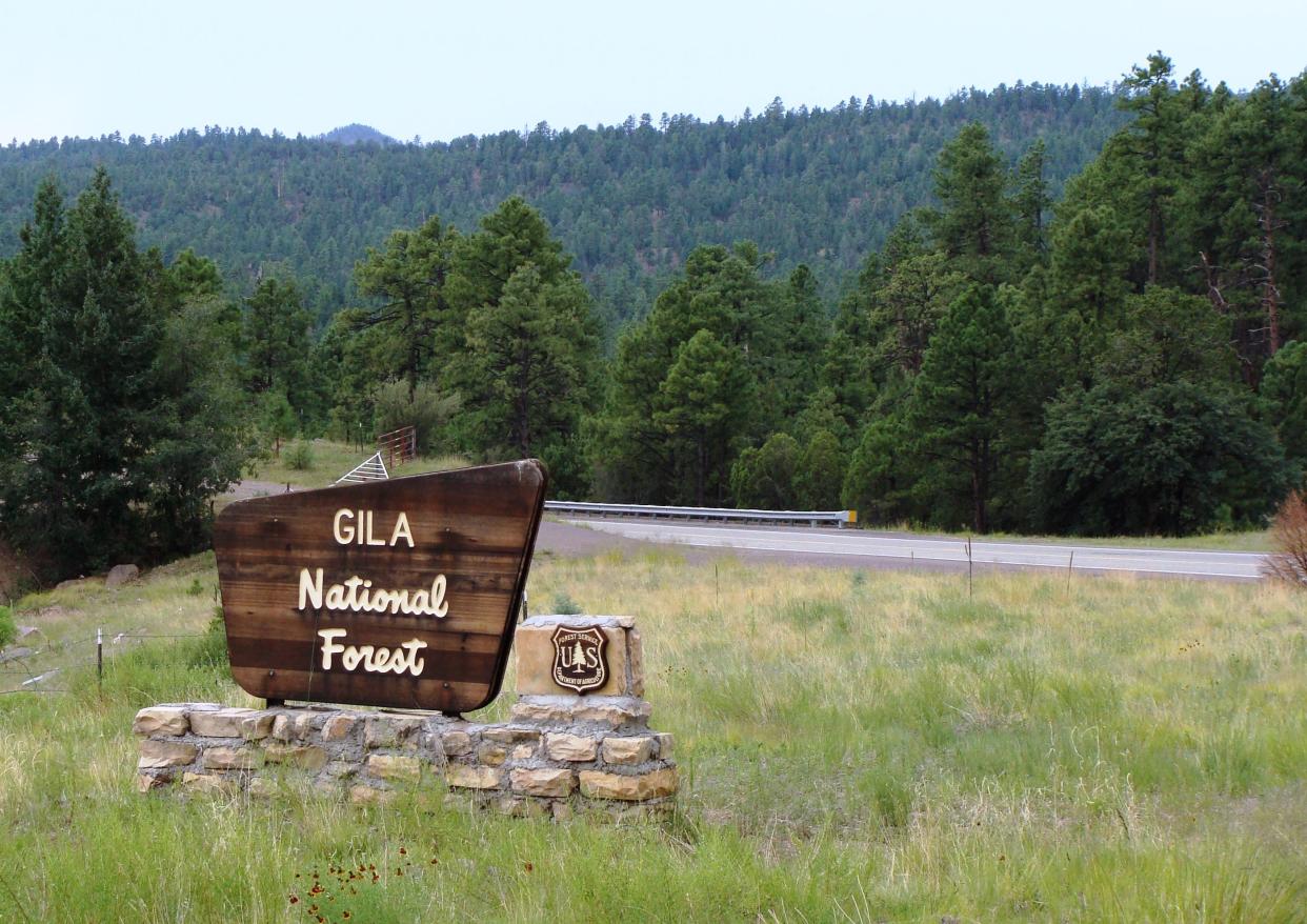 The Gila National Forest, Quemado Ranger District is planning a series of burns over the winter to reduce fuels on the forest and lower the risk of wildfire.