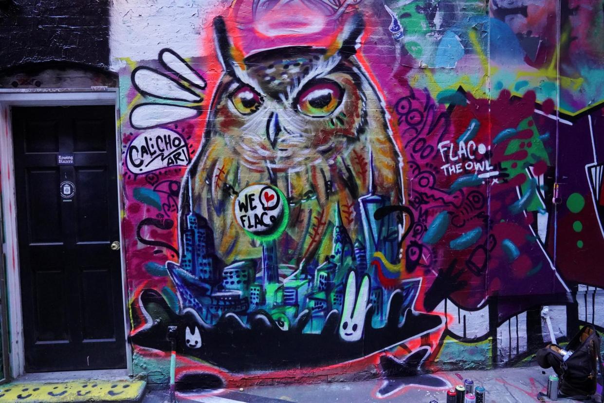 <span>A mural honoring Flaco the owl in New York’s Freemans Alley. Flaco escaped the Central Park Zoo.</span><span>Photograph: Bing Guan/Reuters</span>