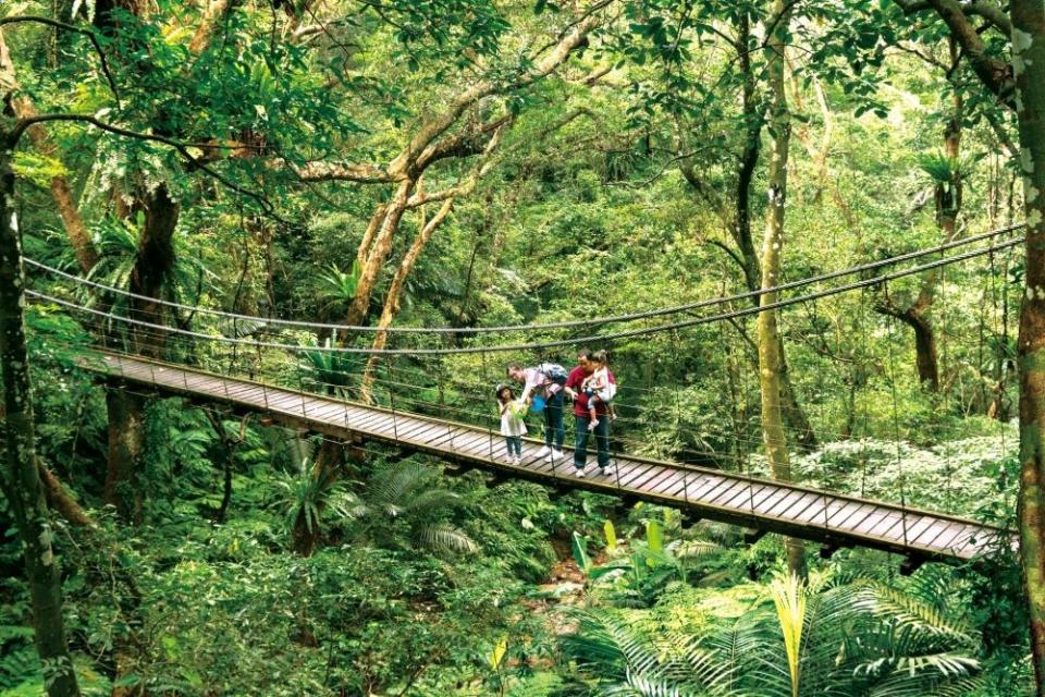 《圖說》三峽擁有亞熱帶雨林植物寶窟及森林遊樂區等旅遊資源。〈觀旅局提供〉