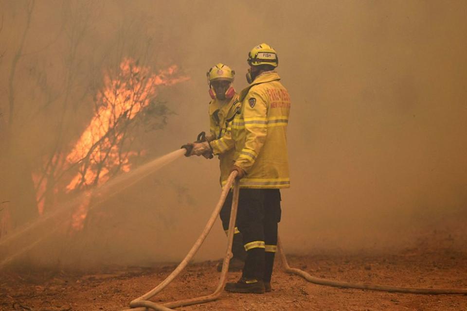 Australia bushfires | DEAN LEWINS/Shutterstock