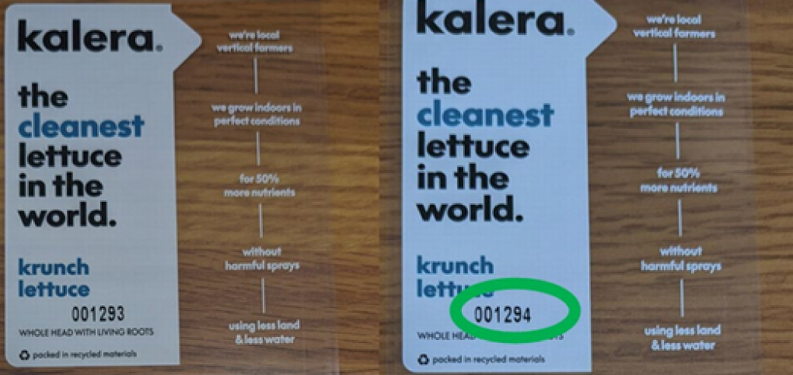 Kalera Krunch Lettuce