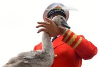 David Barber, The Queen's Swan Marker holds a cygnet as officials record and examine cygnets and swans during the annual census of the Queen's swans, known as 'Swan Upping', along the River Thames in London