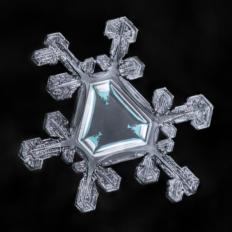 Incredible snowflake close-ups