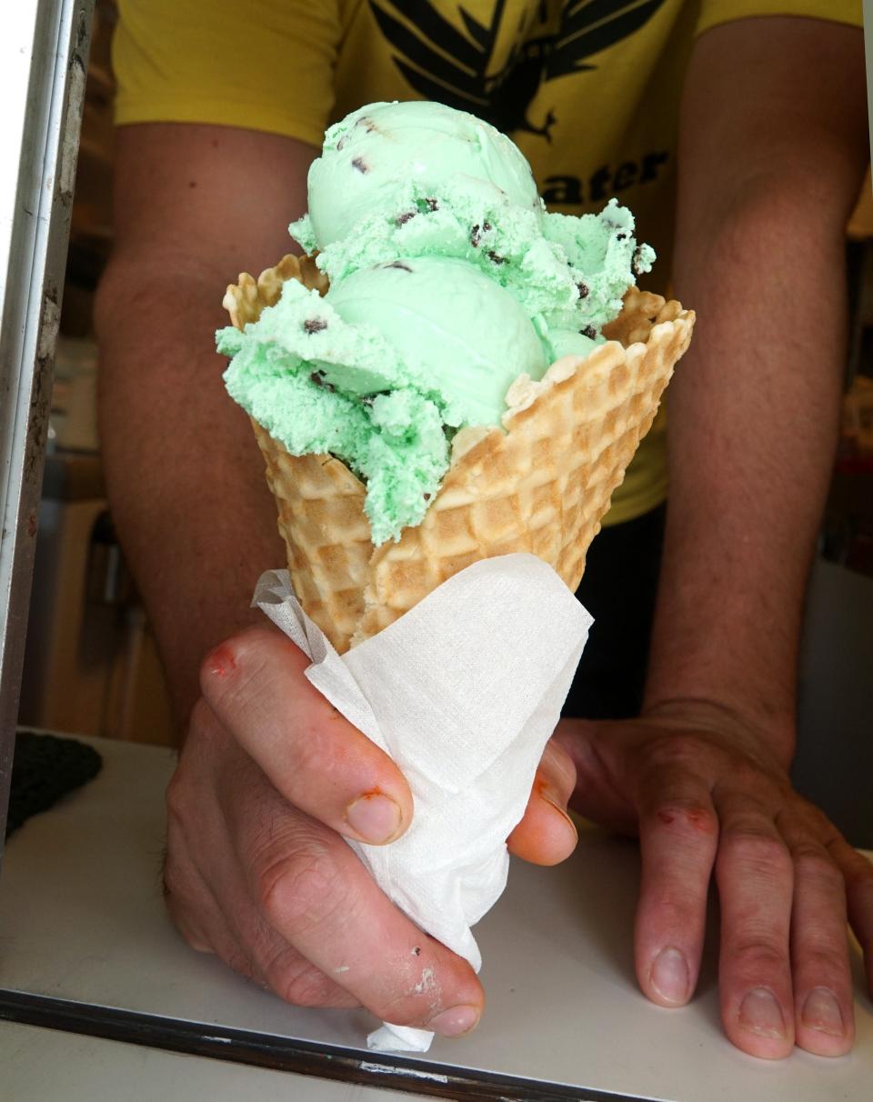 Two mint chococlate chip ice cream scoops in a waffle cone from Novi's Stuart's Ice Cream & Yogurt. The Gazette chose a neutral ice cream photo, since we're the ones asking what your favorites are!