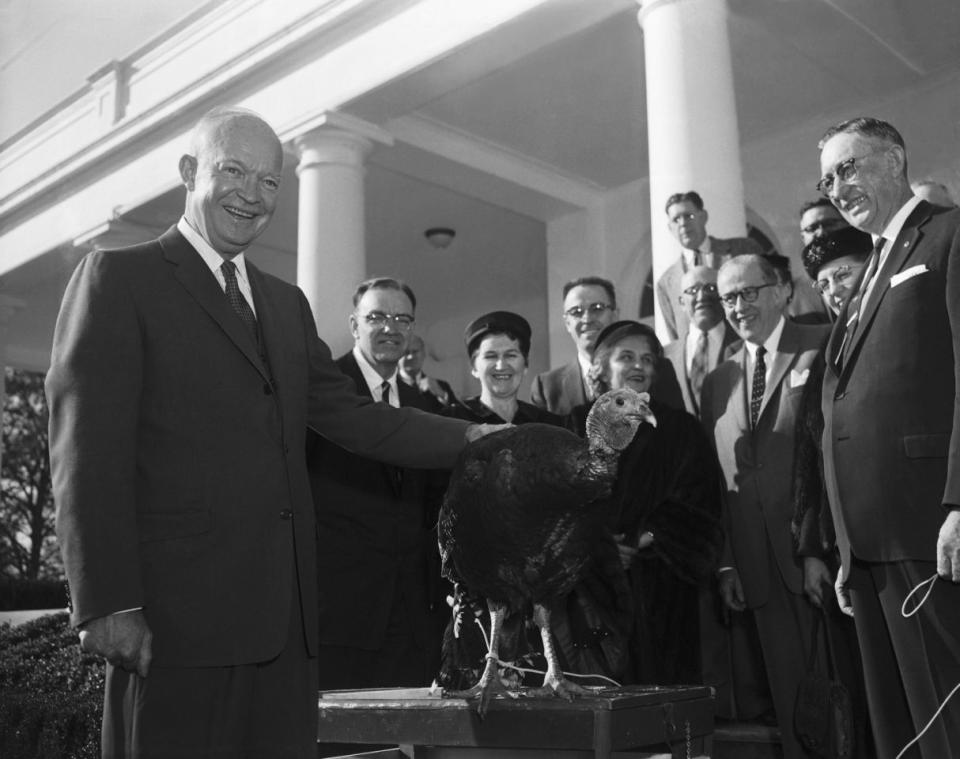 <p>President Eisenhower rests his hand on the 40-pound, broad-breasted Tom turkey presented to him today for his Thanksgiving dinner by the National Turkey Foundation. Said the pleased President: “Gosh. It’s a big one.” From left: Pres. Eisenhower; Leslie W. Hubbard, Mrs. Hubbard, Mrs. Ezra T. Benson, Sec of Agriculture Ezra Taft Benson and J. Arza Adams, President of the Foundation on Nov. 19, 1956. (Photo: Bettmann/Corbis/Getty Images) </p>