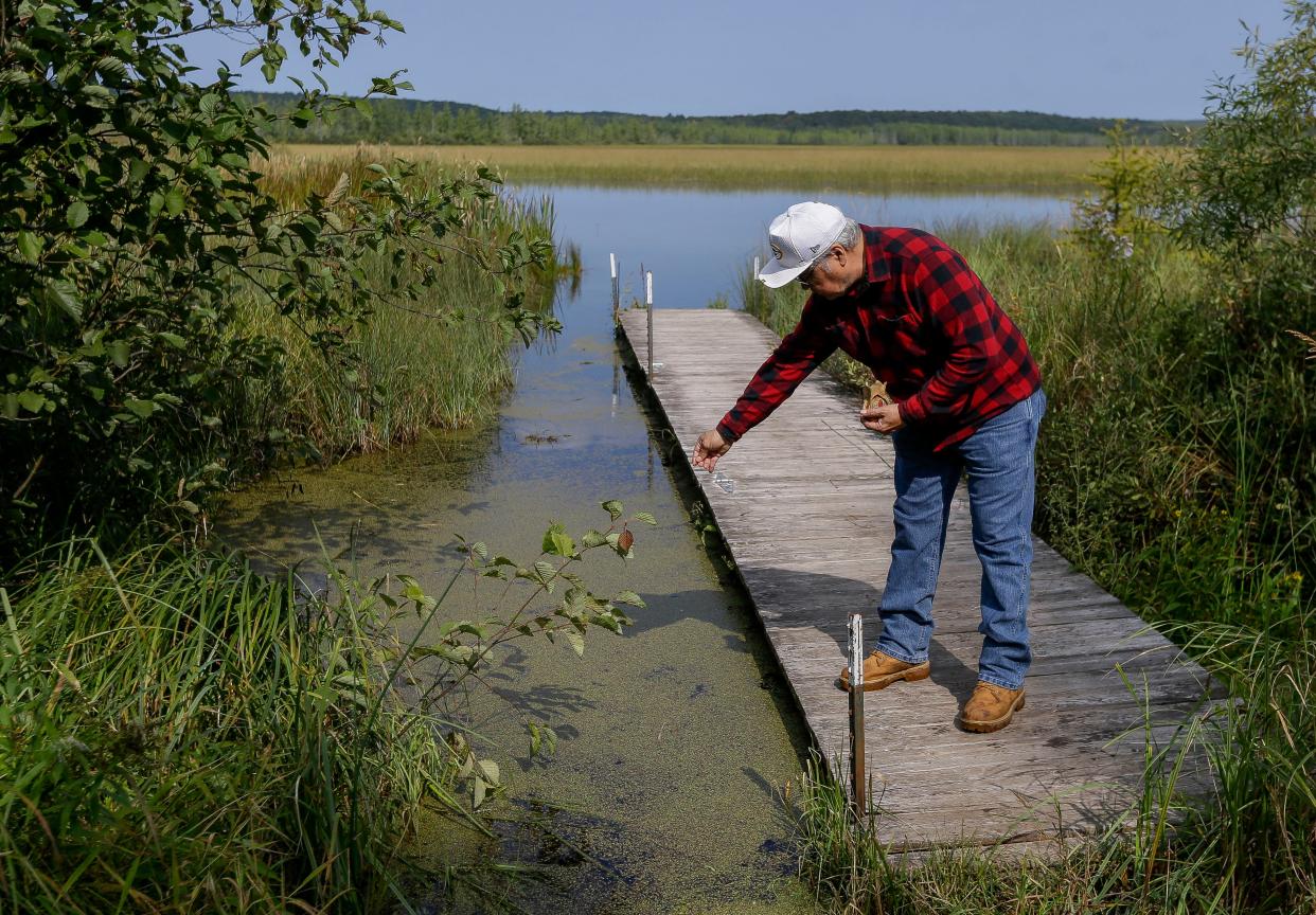 Robert Van Zile Jr., chairman of the Mole Lake Ojibwe Tribe, sprinkles Rice Lake with tobacco in September 2023, asking for a blessing on the waters. The lake is home to the last remaining wild rice bed on the Mole Lake Sokaogon Ojibwe Reservation, and one of the few ancient beds left in Wisconsin.