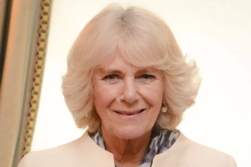 Celebrity photographer Jacqueline Ferguson's shot of Queen Camilla