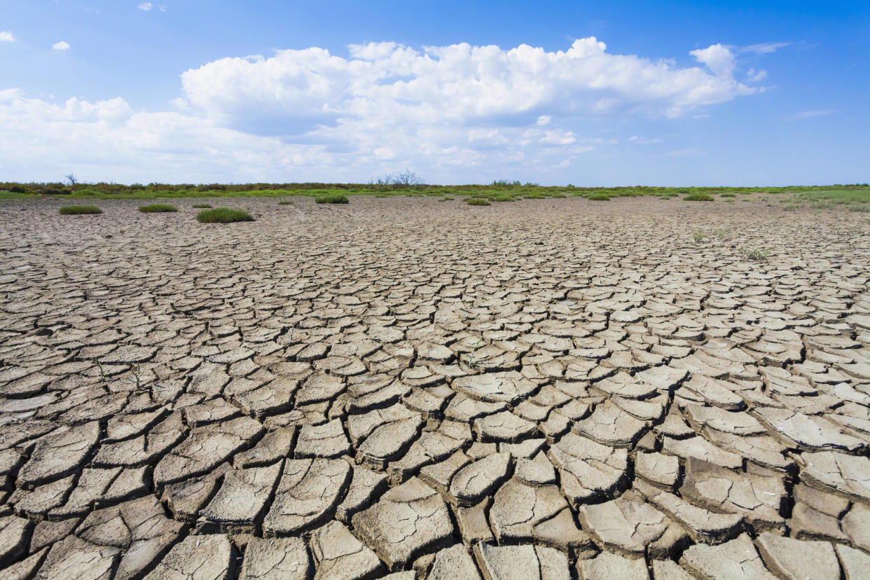 Le réchauffement climatique a atteint des niveaux inédits