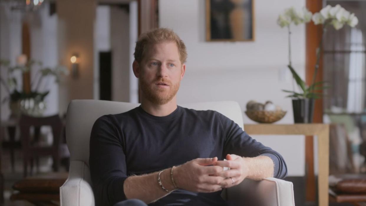  Prince Harry talking in the Netflix documentary Harry & Meghan 