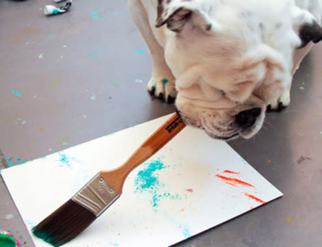 Piper the painting dog