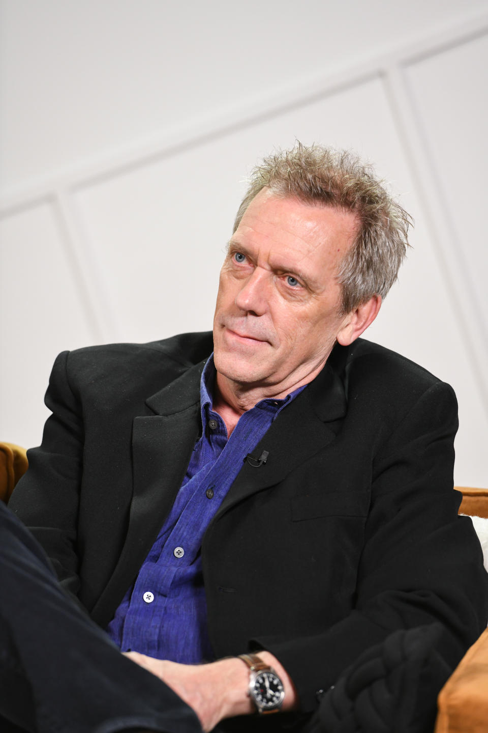 Hugh Laurie