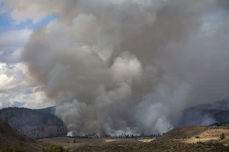 Smoke rises from the Carlton Complex Fire near Winthrop, Washington July 19, 2014. REUTERS/David Ryder