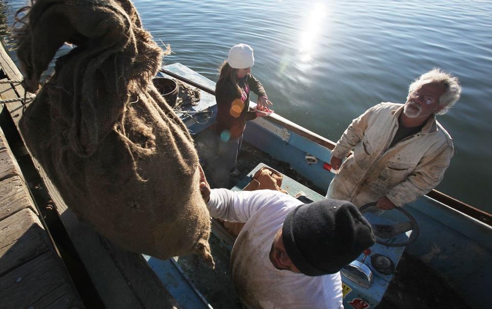 Gulf coast oyster fishermen