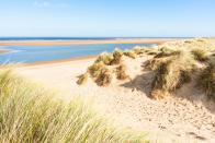 <p>The salt marsh, sand dunes, pine woodland, sandy beach and grazing marsh that make up Holkham is a National Nature Reserve – best known for its stunning panoramic views and varied wildlife.</p><p><a class="link " href="https://holkham.co.uk/" rel="nofollow noopener" target="_blank" data-ylk="slk:MORE INFO;elm:context_link;itc:0;sec:content-canvas">MORE INFO</a></p><p><strong>Where to stay: </strong>The perfectly polished <a href="https://www.booking.com/hotel/gb/victoria-inn-holkham.en-gb.html?aid=2070935&label=sandy-beaches" rel="nofollow noopener" target="_blank" data-ylk="slk:Victoria Inn;elm:context_link;itc:0;sec:content-canvas" class="link ">Victoria Inn</a> has 20 rooms with a posh contemporary-cottage feel. Stroll through the walled rose gardens, feast on the restaurant's fresh shellfish and walk the few minutes to the golden sands of the beach.</p><p><a class="link " href="https://www.booking.com/hotel/gb/victoria-inn-holkham.en-gb.html?aid=2070935&label=sandy-beaches" rel="nofollow noopener" target="_blank" data-ylk="slk:CHECK PRICES;elm:context_link;itc:0;sec:content-canvas">CHECK PRICES</a></p>