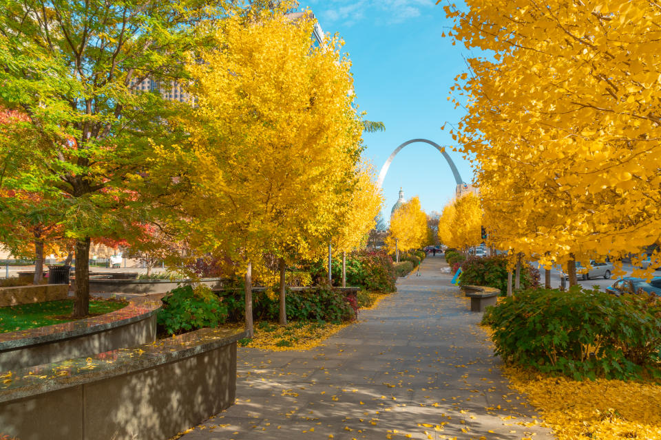 The beautiful Autumn colours of St. Louis, Missouri. Photo: Travel South, USA