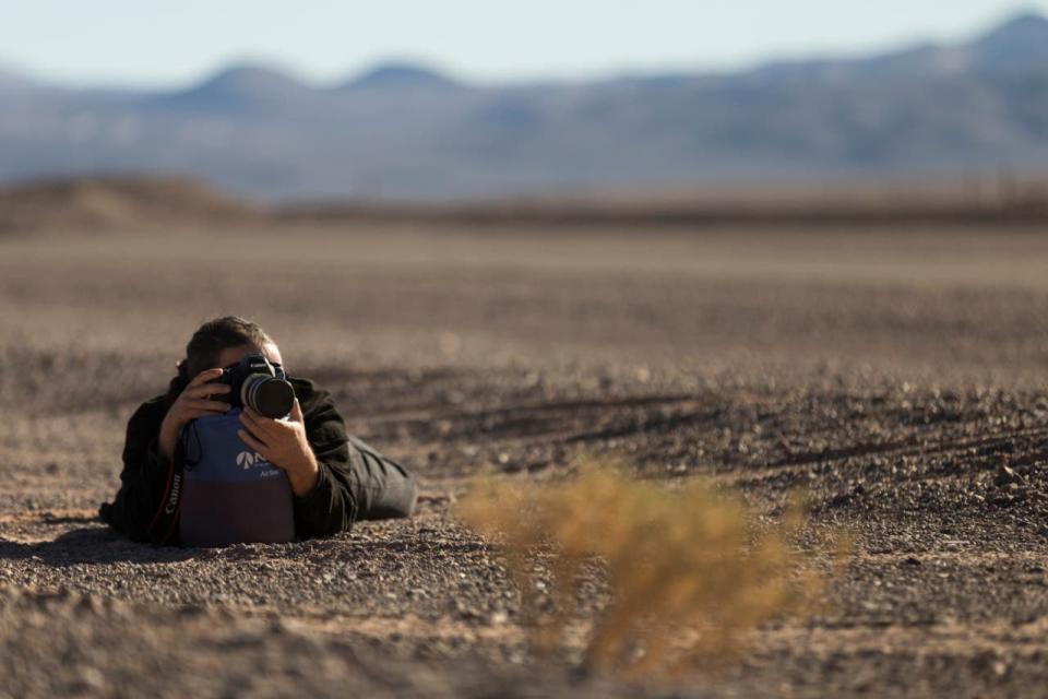 Se invita a la población argentina a tomar registros de vida silvestre con sus cámaras, celulares y dispositivos contribuyendo a una base de datos de biodiversidad.