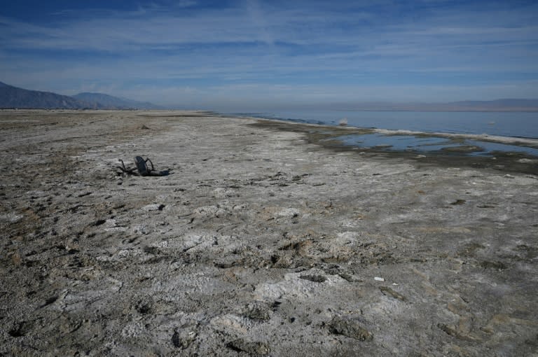 La berge de la Salton Sea, plus grand lac de Californie en proie à la sécheresse et à la pollution, à Salton City, le 16 décembre 2021 (AFP/Robyn Beck)